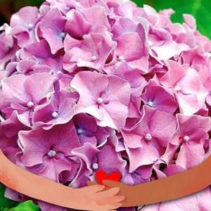 Meet your Posher, Shana